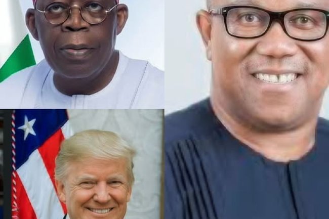 The certificate controversy surrounding President Bola Tinubu